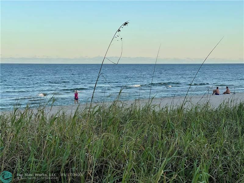 Property Photo: 4564 El Mar Dr 6 FL 33308