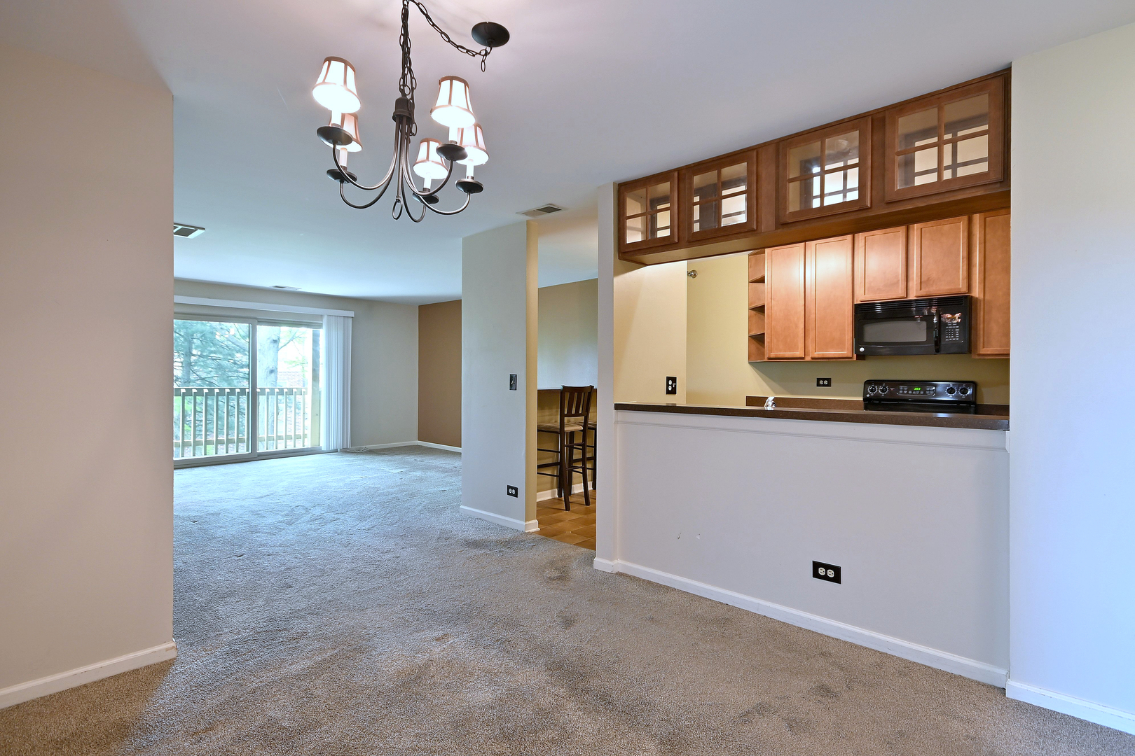 Property Photo: 210 Glengarry Drive 212 IL 60108