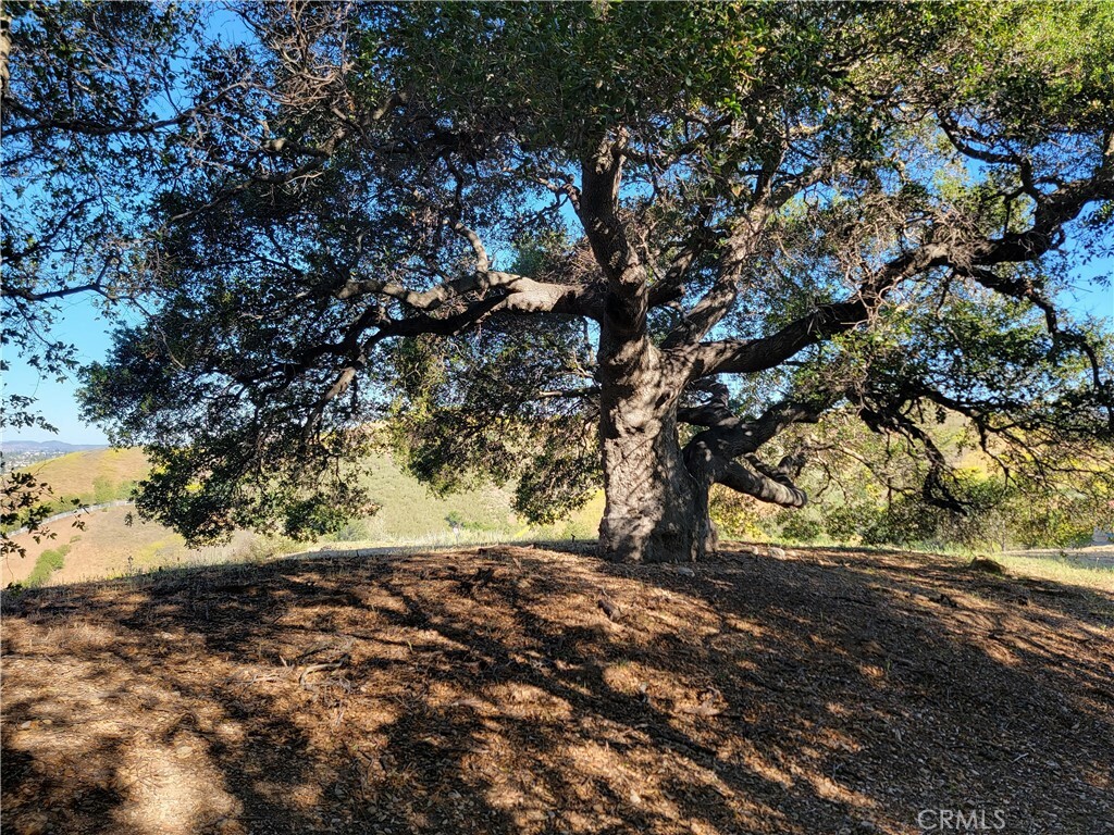 Property Photo: 28343 Foothill Drive CA 91301