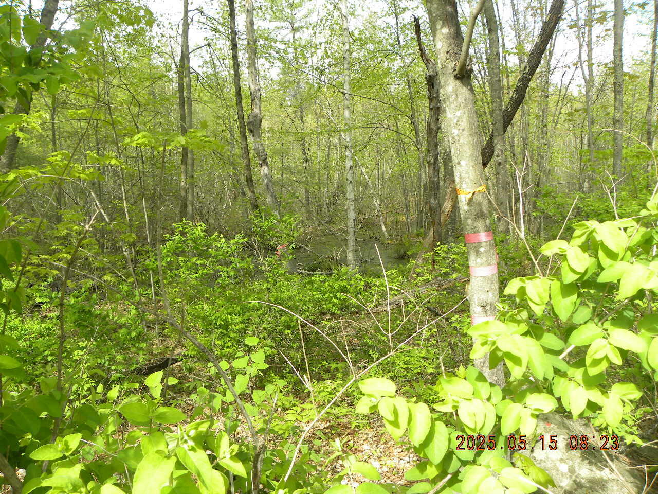 Property Photo: Lot 35 Bennett Road ME 04002