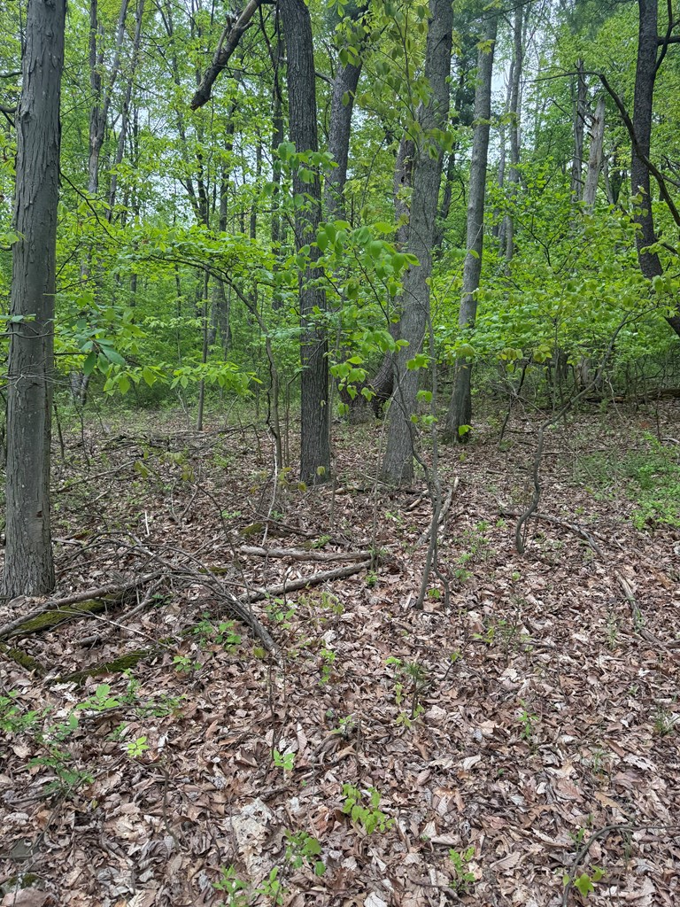 Property Photo: 0 Orange Hill Rd PA 18810