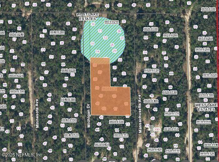 Property Photo: Lot 0 Michigan Drive FL 32640