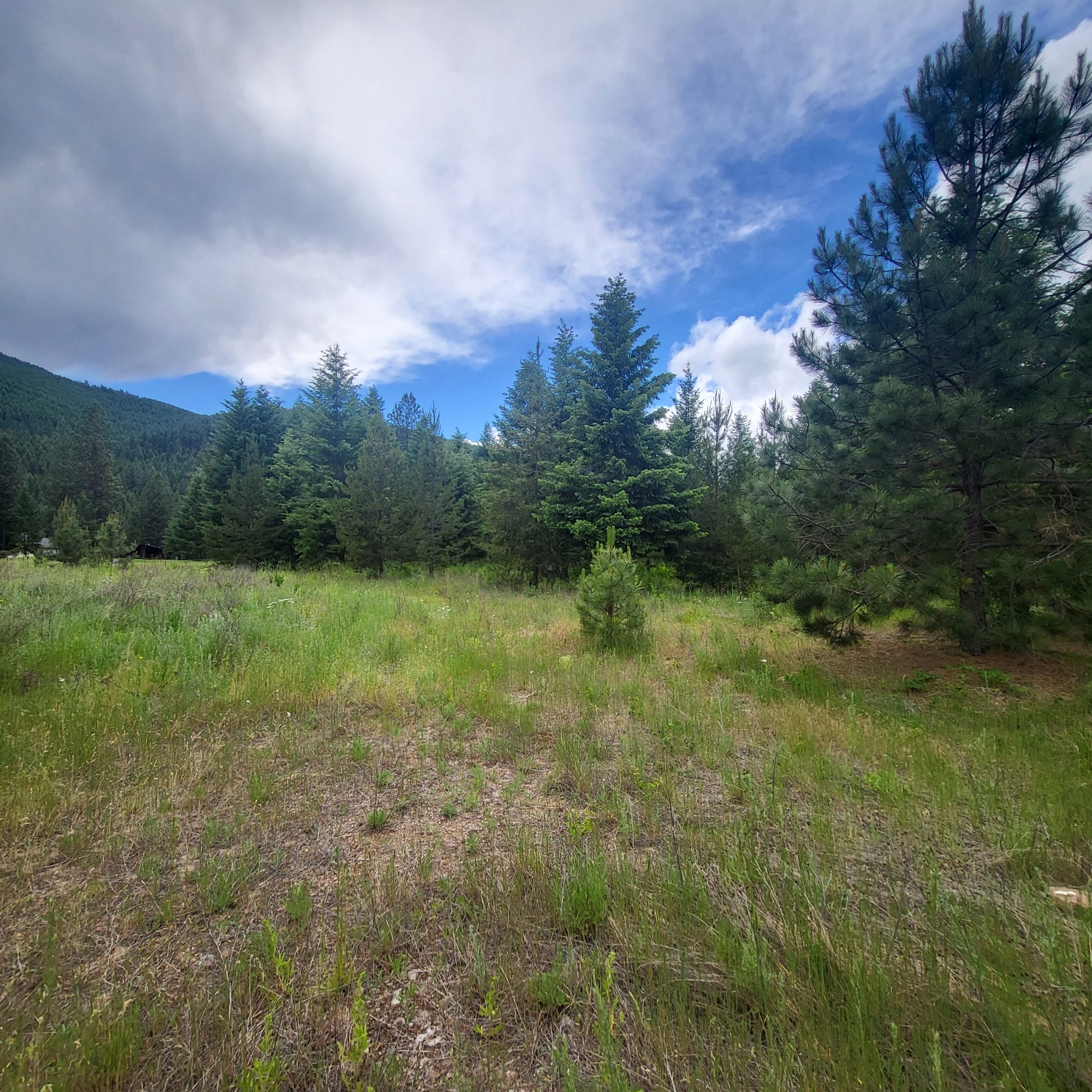 Property Photo: Nhn Fairview Drive MT 59866