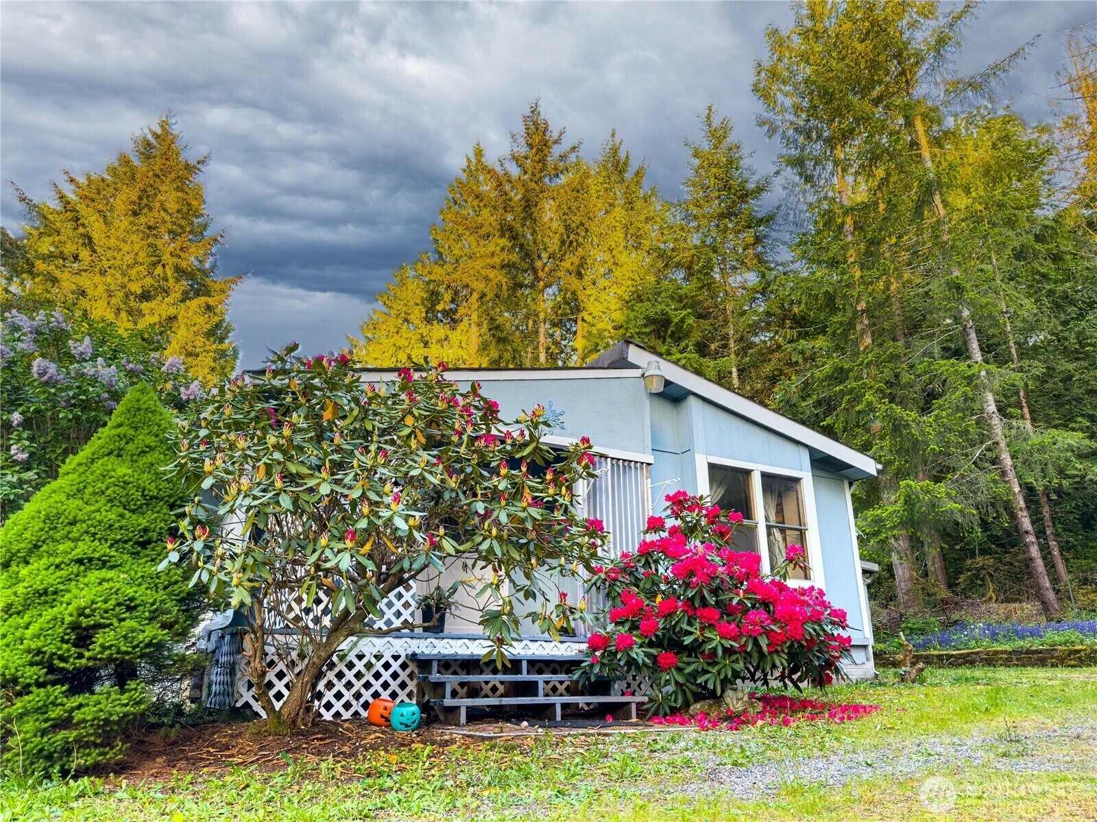 4507  Whiteman Road SW  Longbranch WA 98351 photo