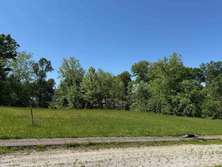 Property Photo:  Lot #15 Meadow Glen Road  KY 41139 
