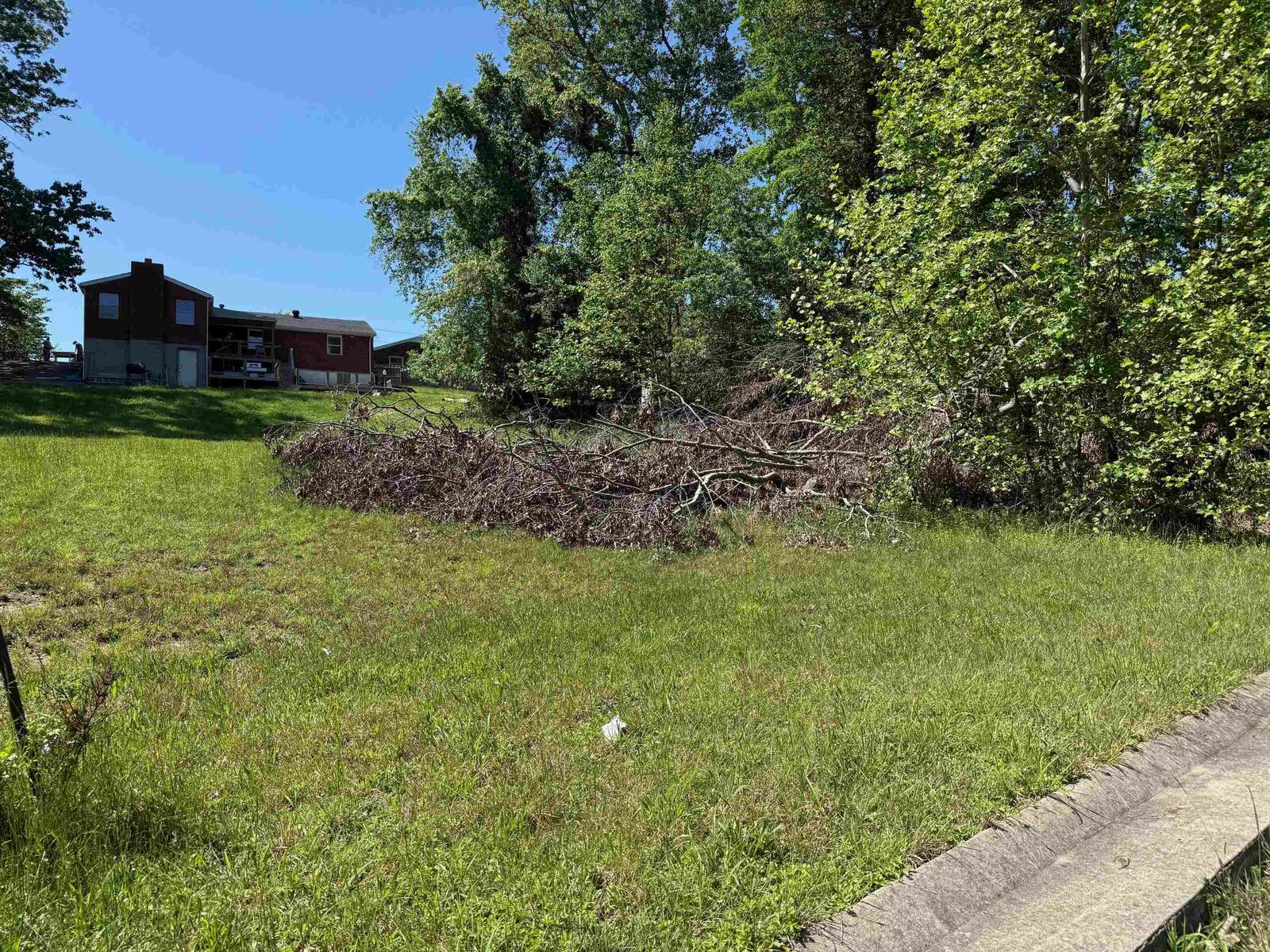 Property Photo:  Lot #11 Meadow Glen Road  KY 41139 