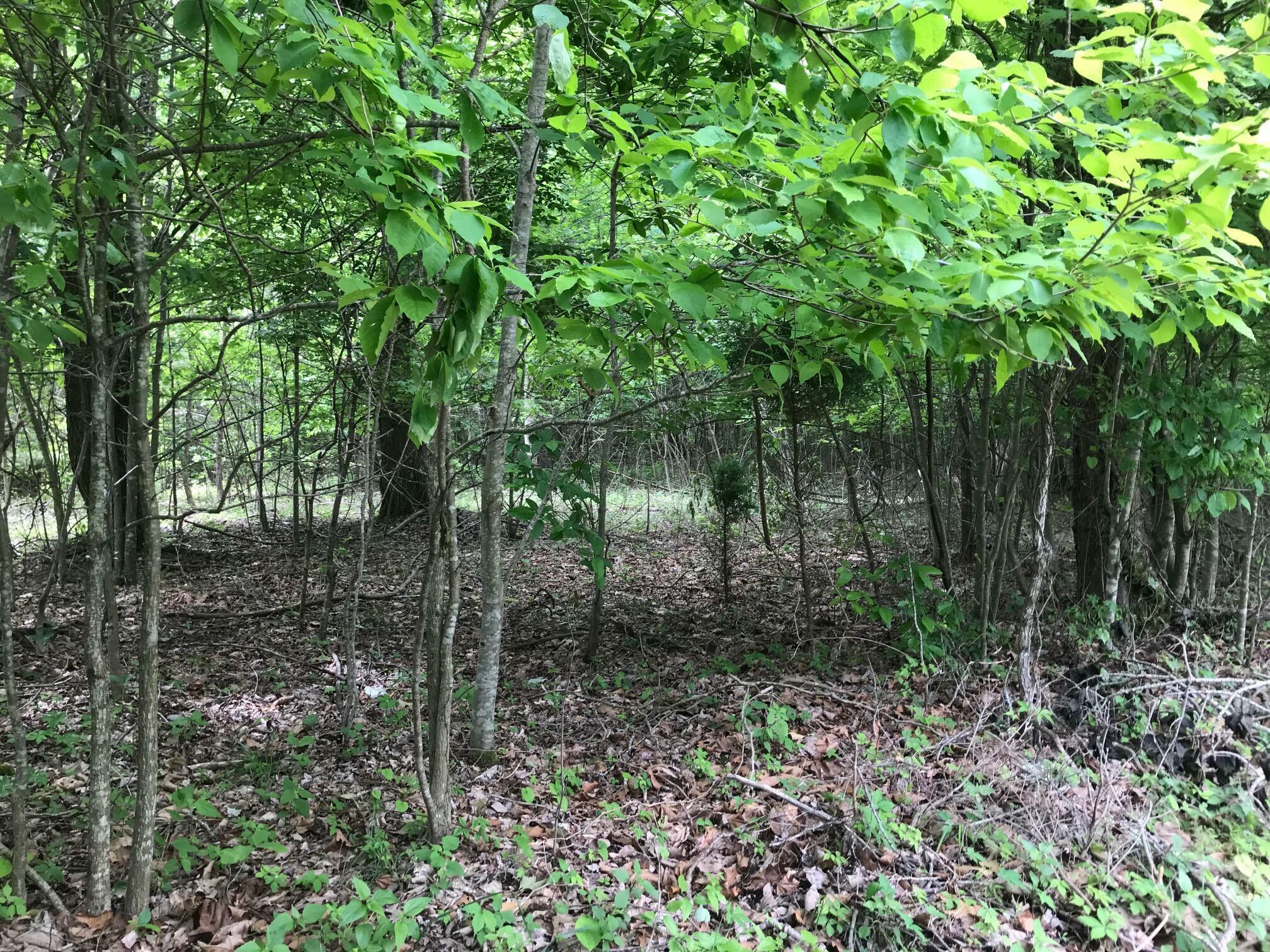 Property Photo: Lot 512 Wilderness Way TN 37327