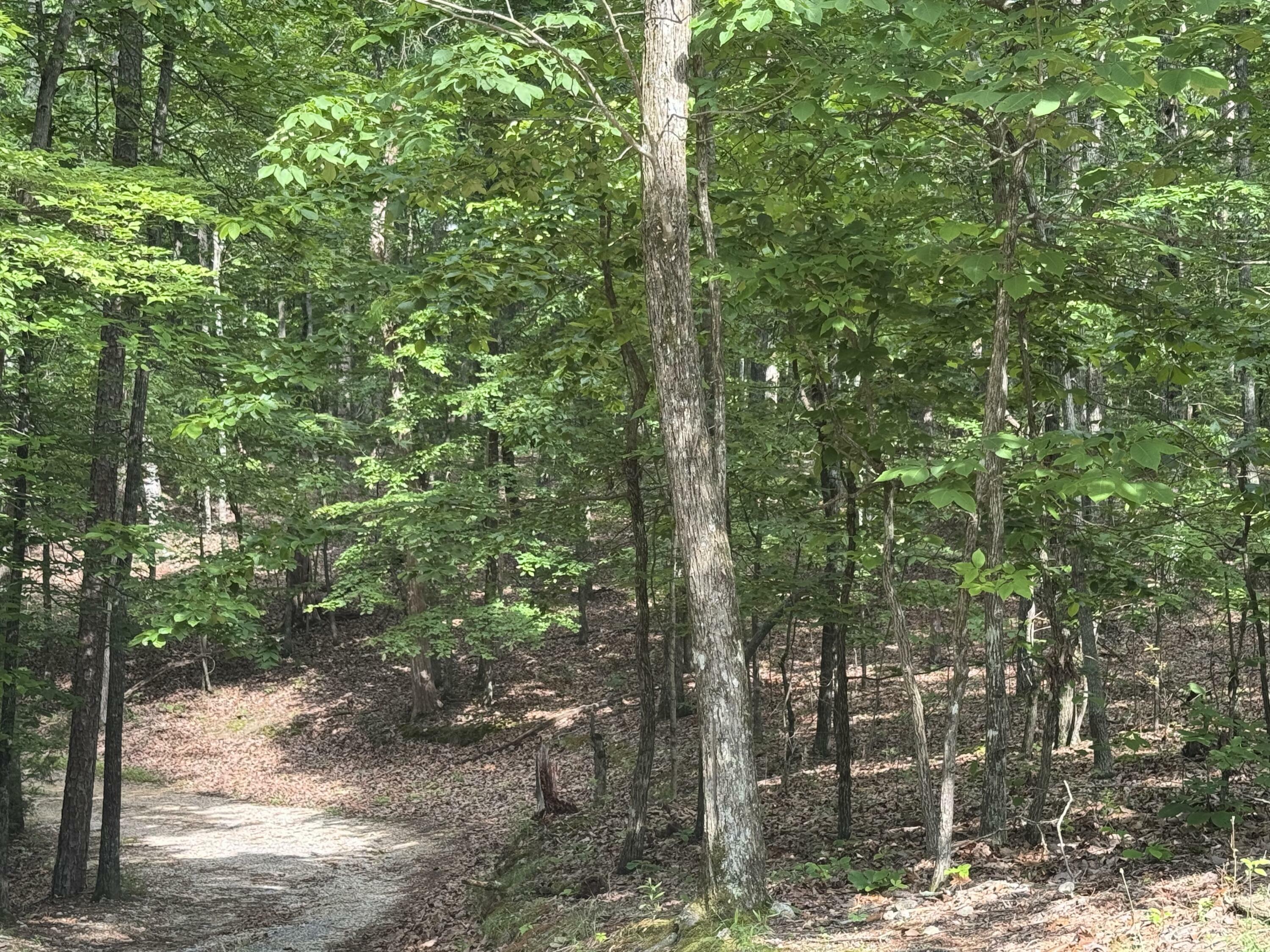 Property Photo: 0 W Watts Road GA 30736