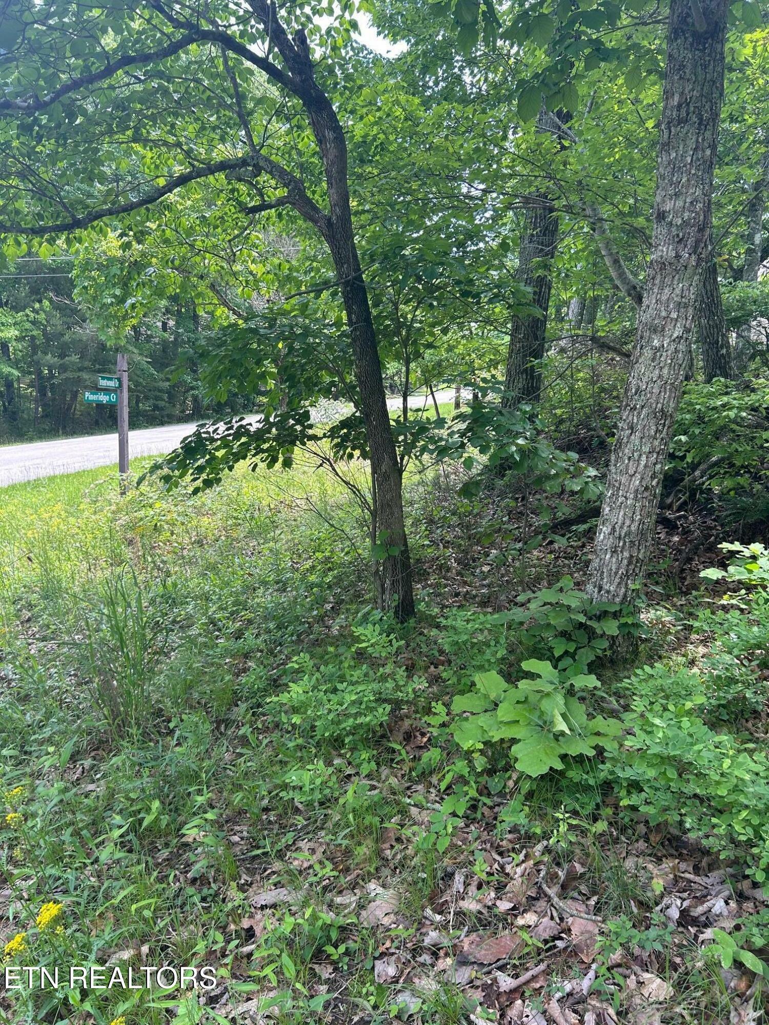 Property Photo: 186 Trentwood Drive TN 38558