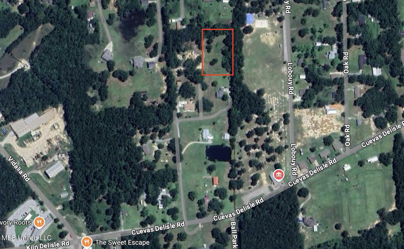 Property Photo:  Cuevas Delisle Road  MS 39571 