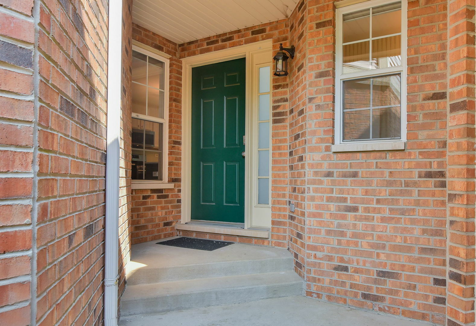 Property Photo: 858 McKenzie Station Drive IL 60532