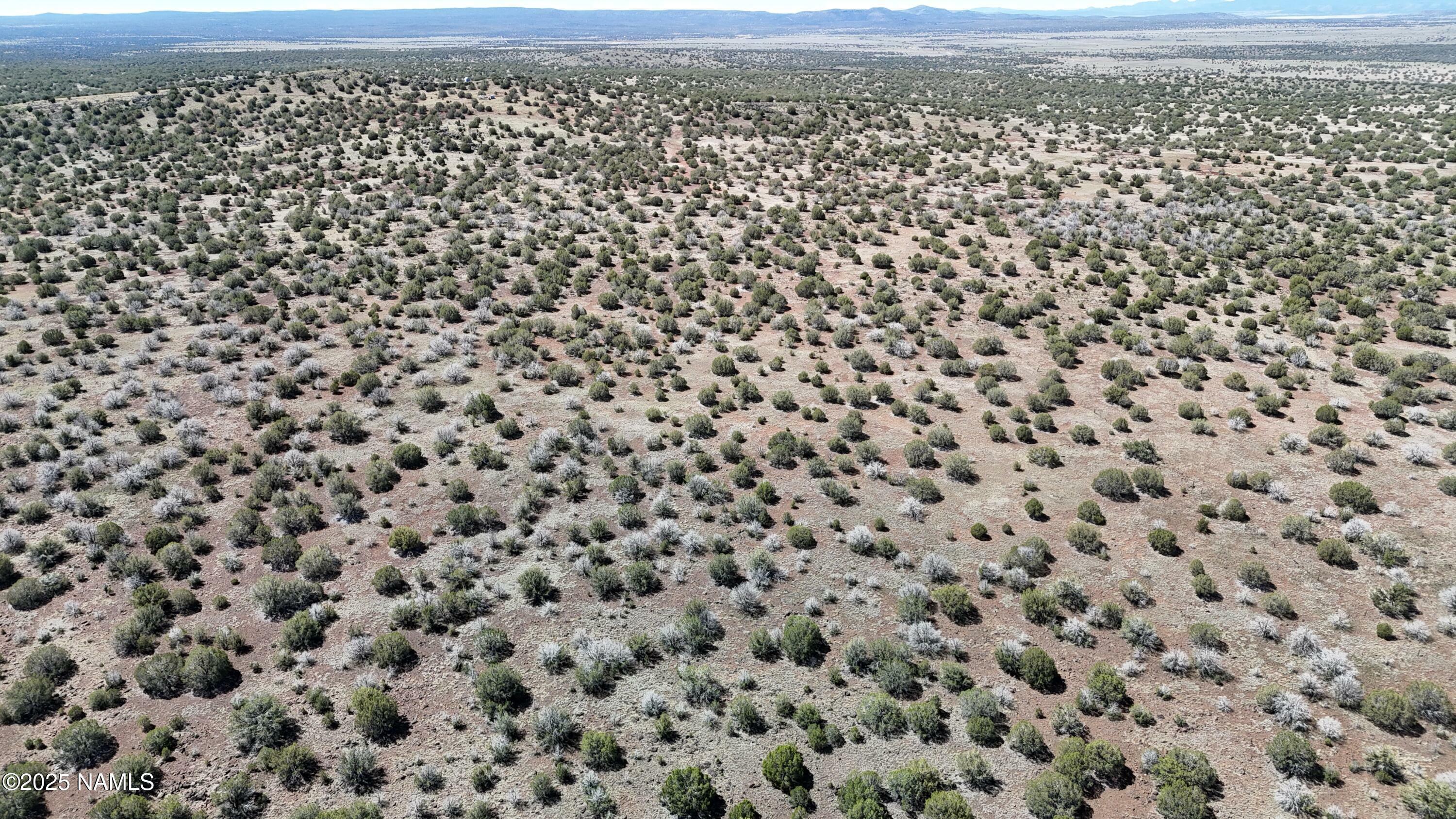Property Photo: 4636 N Artemeze Drive AZ 86046