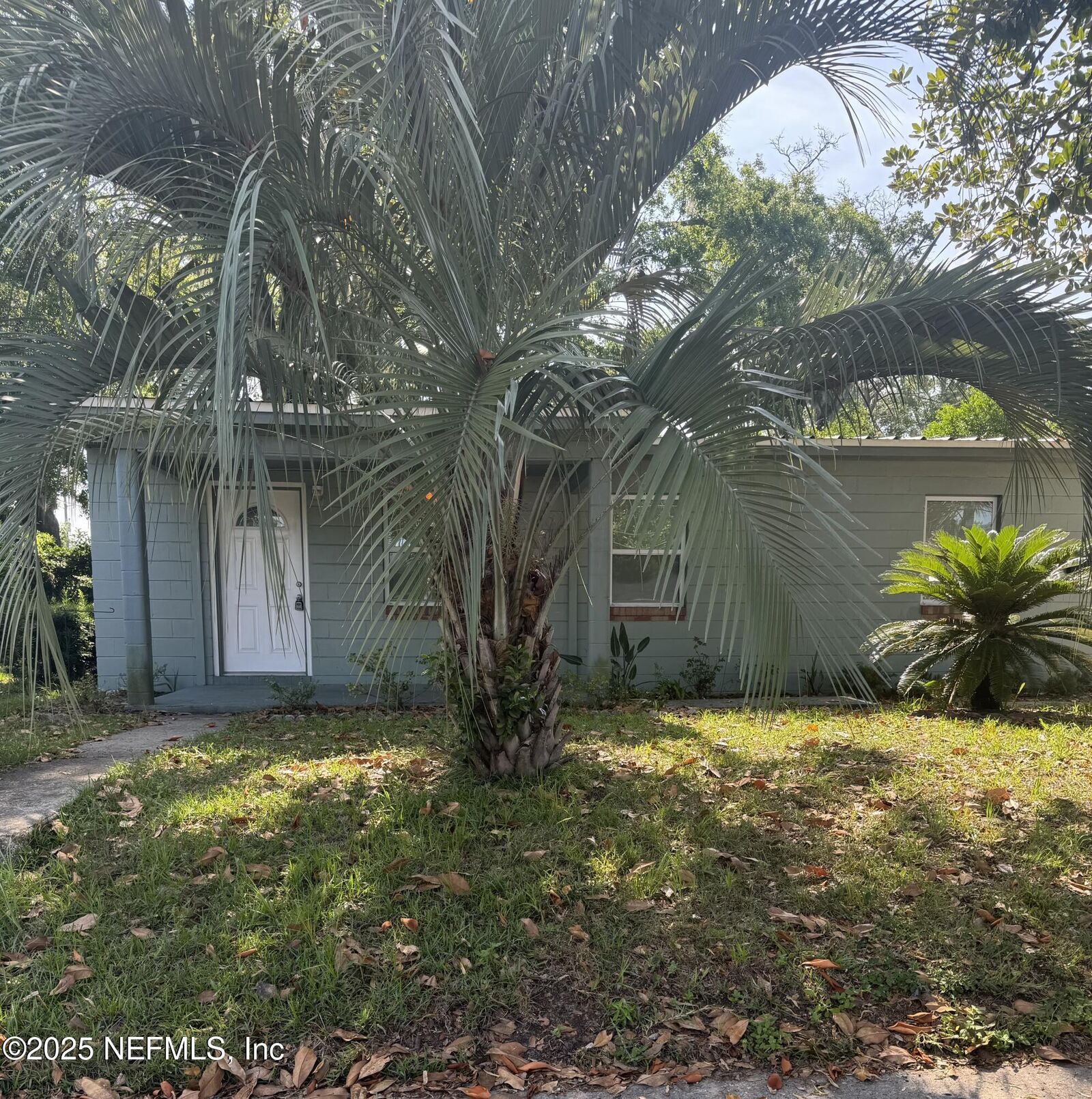 Property Photo: 1517 Rogero Road FL 32211