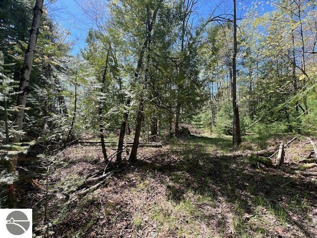 Property Photo: 000 Flees Road MI 49670