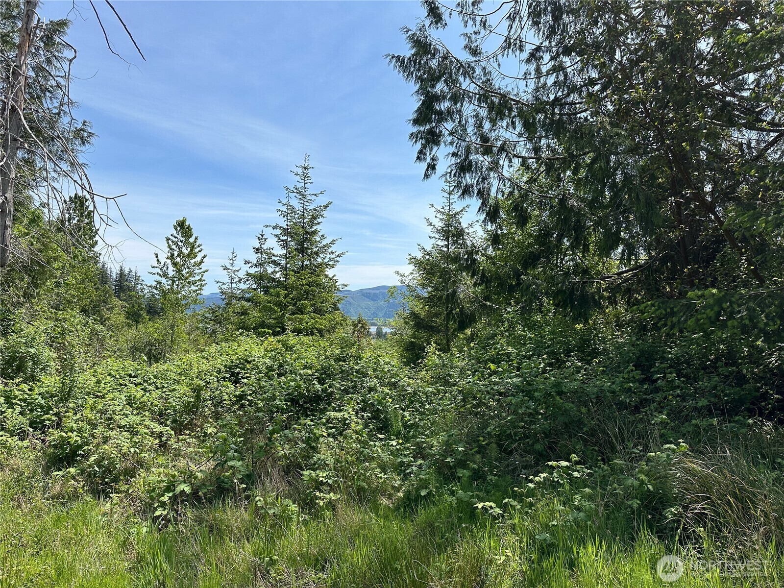 Property Photo: 0 Maple Ridge Rd WA 98612