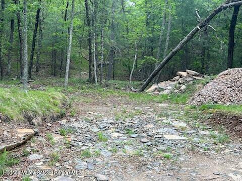 Property Photo: Tbd Ny-28A NY 12491