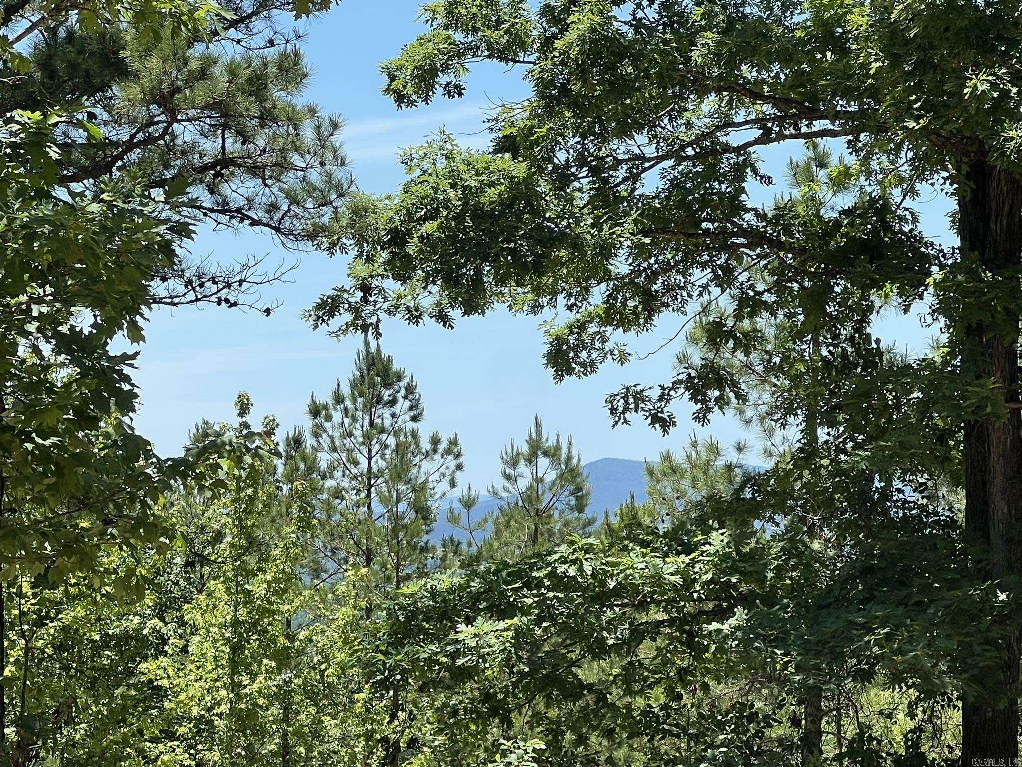 Property Photo: Unk County Road 720 AR 71953
