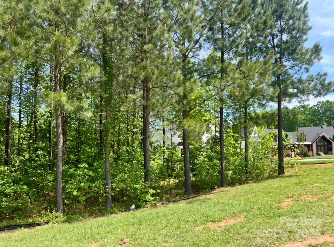 Property Photo: 133 Addison Emory Lane 18 NC 28115