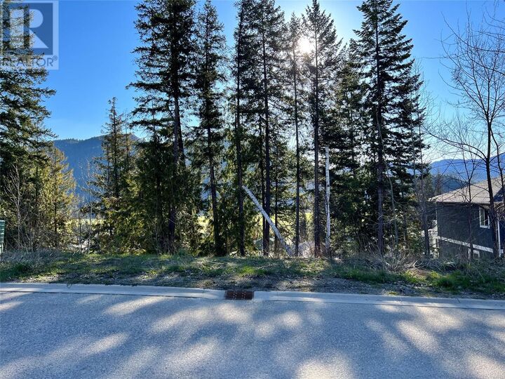 2541 Cedar Ridge Court  Lumby BC V0E 2G0 photo
