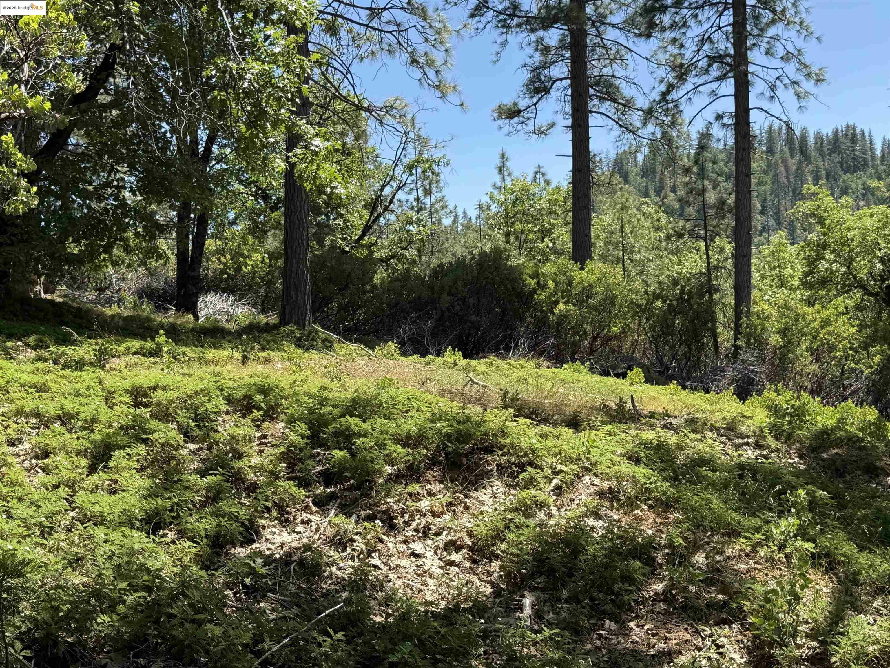 Property Photo: 0000 Forest Service Road 3N50 CA 95370