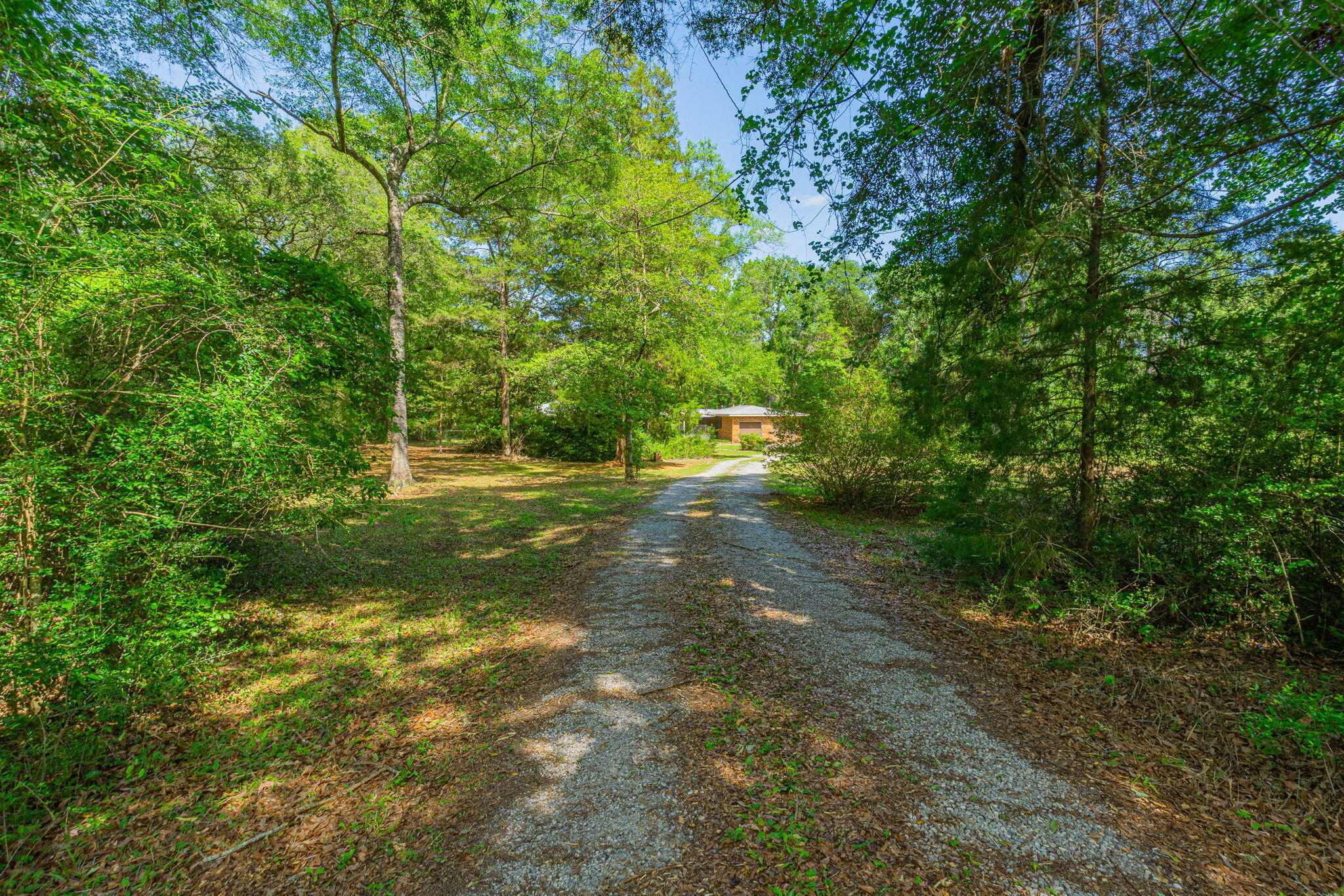 Property Photo: 6161 Hwy 393 FL 32539