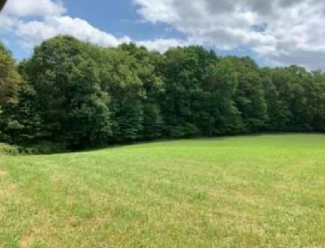 Property Photo: 772 Leivasy Rd WV 26681