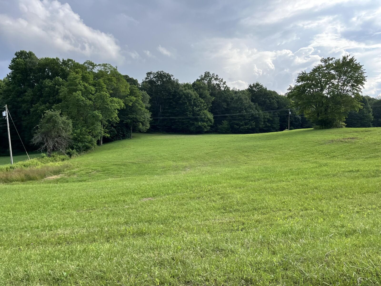 Property Photo:  772 Leivasy Rd  WV 26681 
