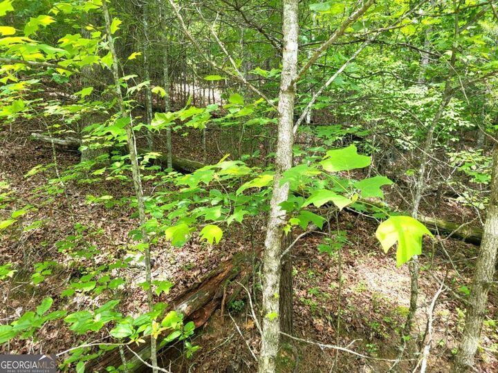Property Photo: Lot 9 Folklore Court GA 30560
