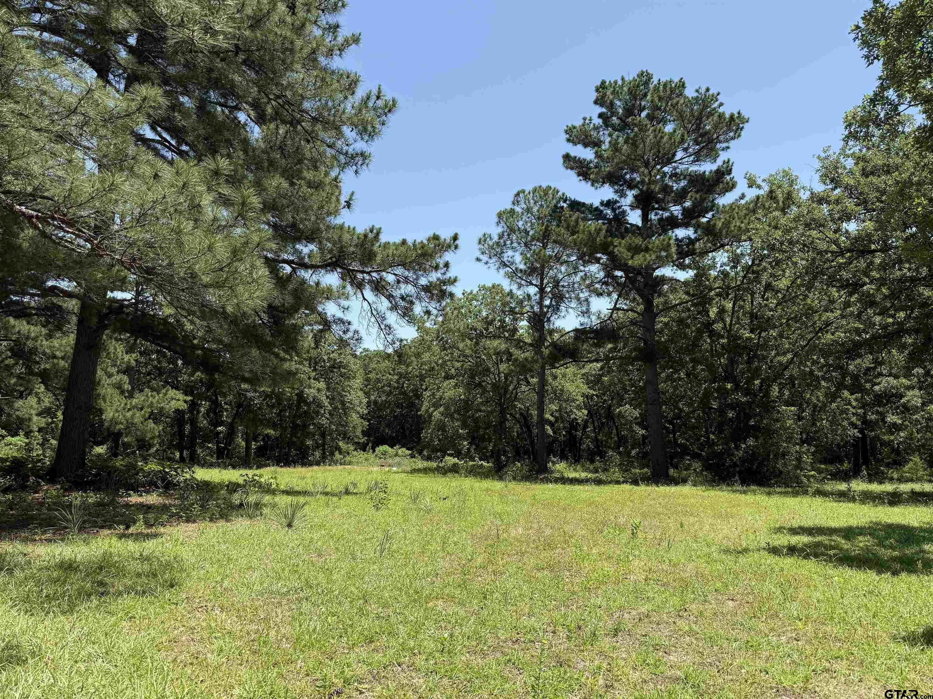 Property Photo: 17102 Cr 4188 TX 75771