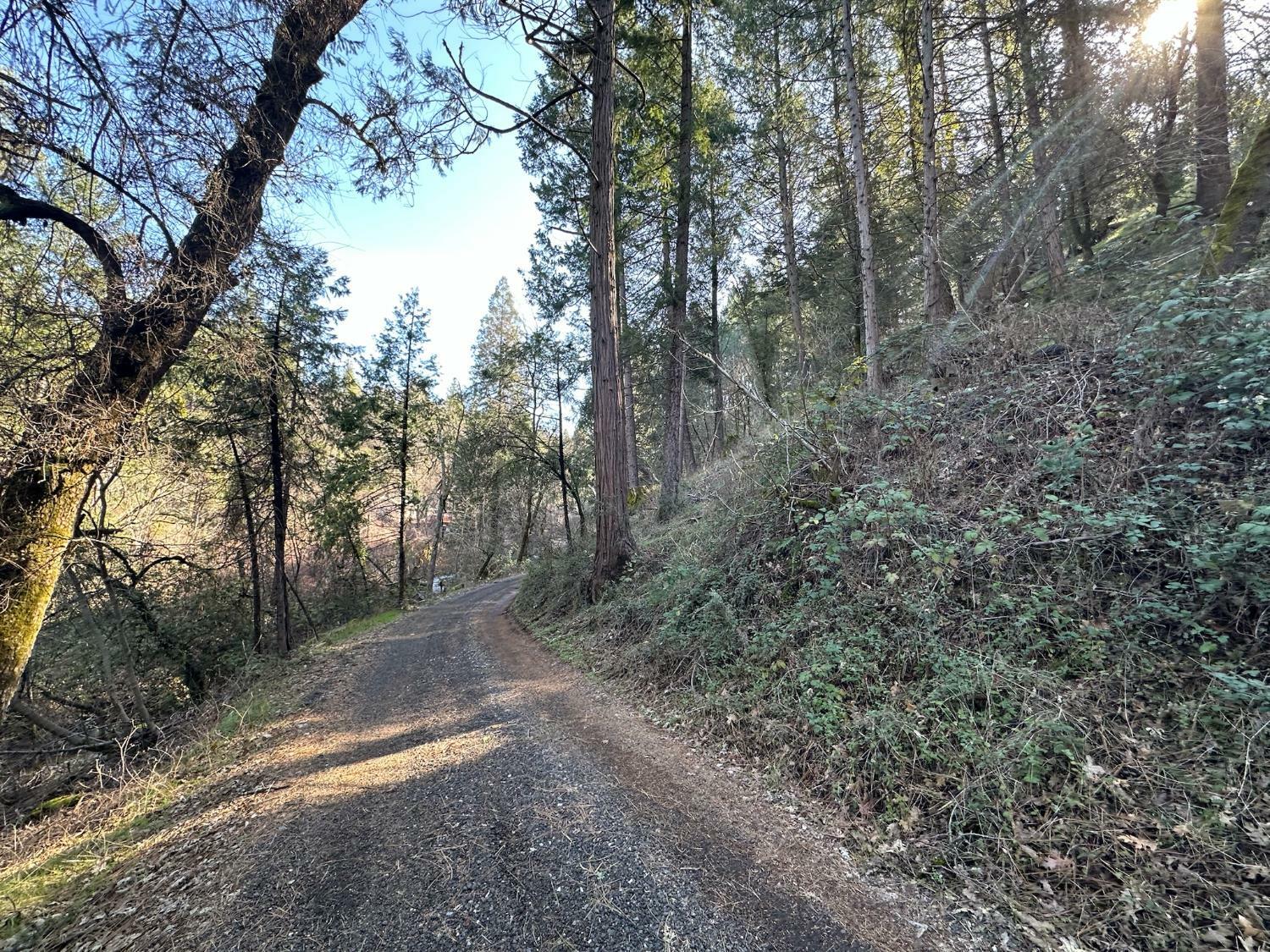 0 NE Treasure Rock Lane  Placerville CA 95667 photo