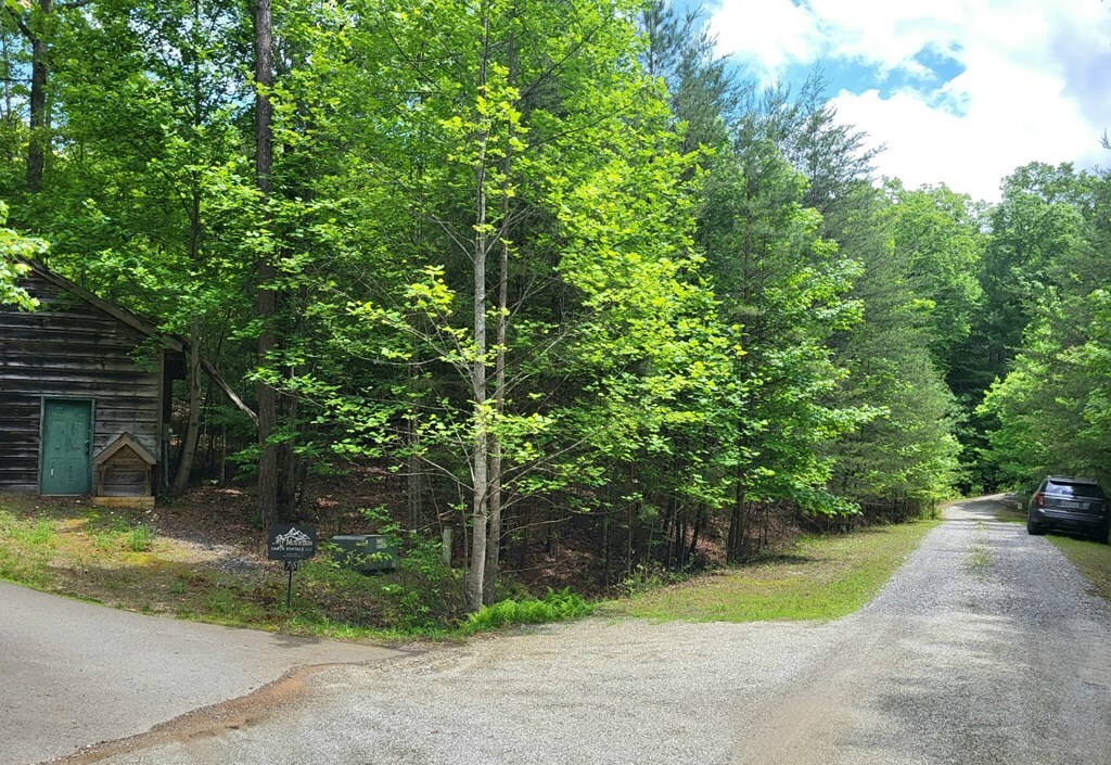 Property Photo: Lot 9 Folklore Court GA 30560