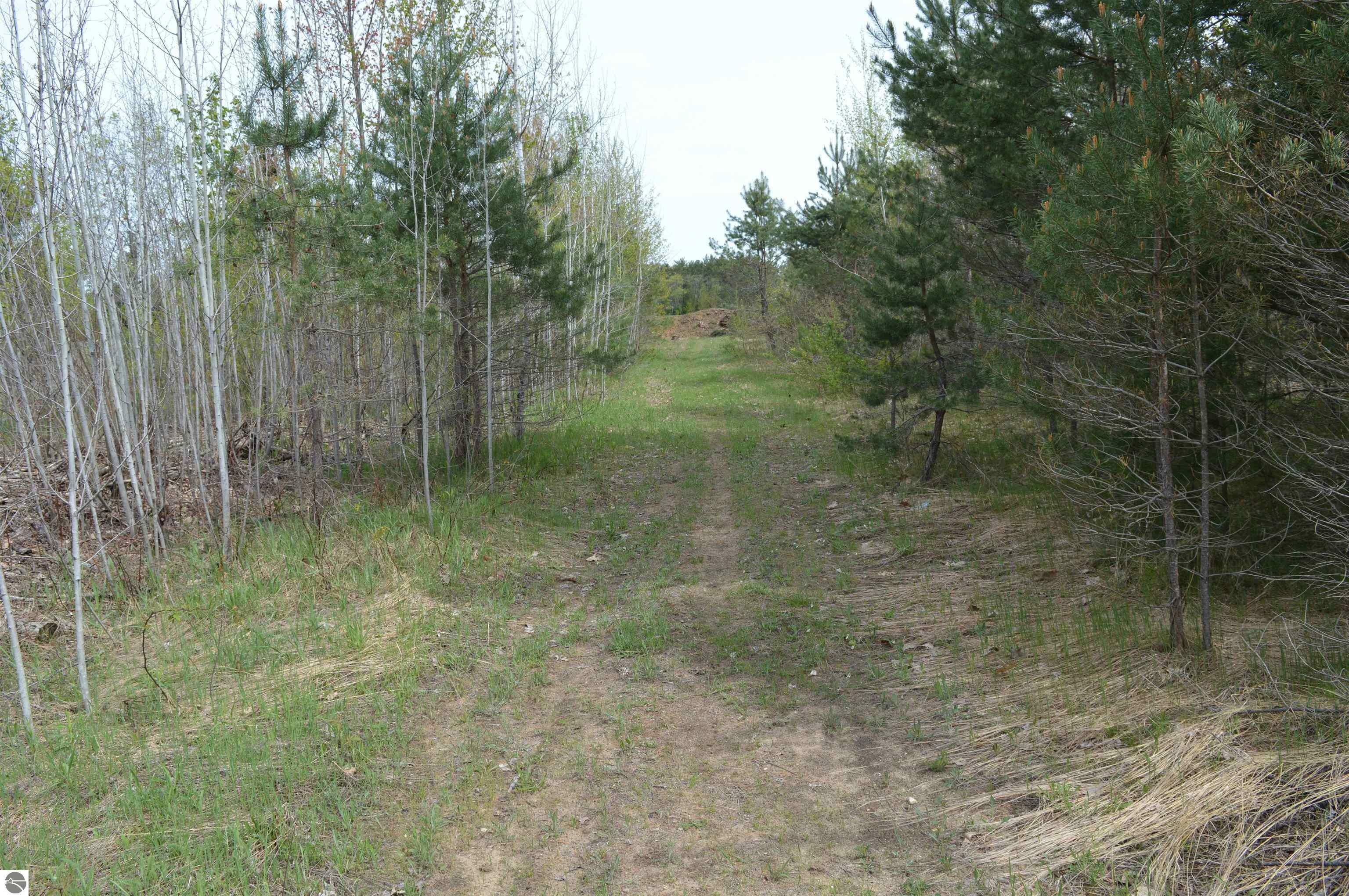Property Photo: Spencer Road MI 49646