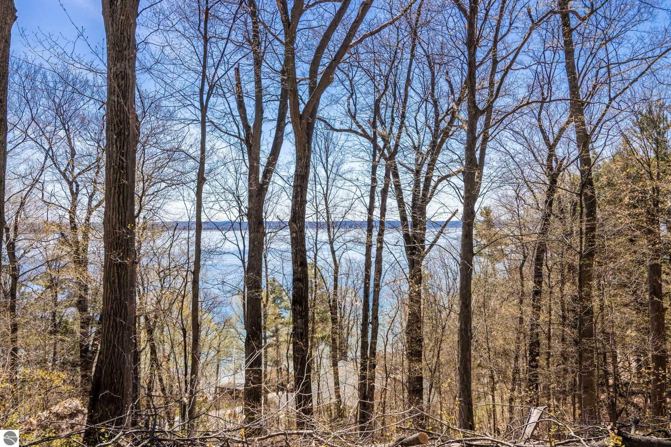 Property Photo: Lot 21 Moonrise Court Lot 21 Plus Adjacent Lot MI 49686