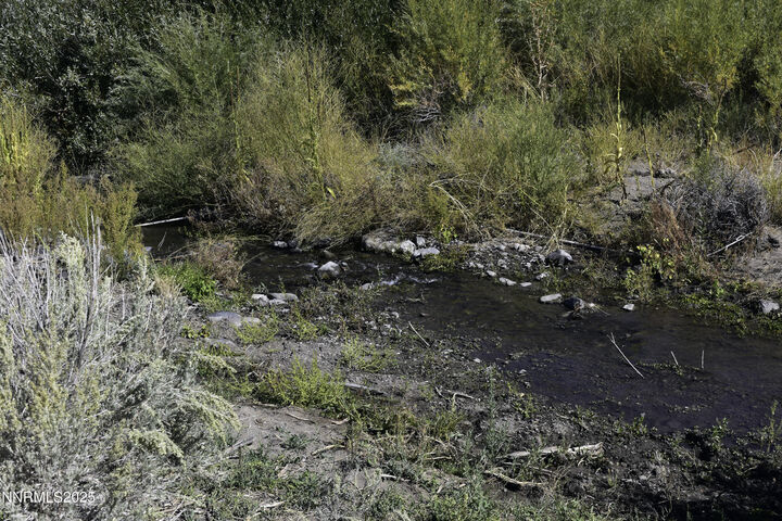 Property Photo:  345 Veris Court  NV 89410 