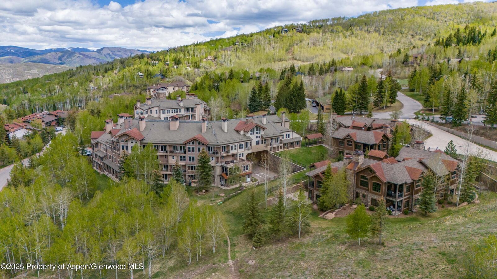 Property Photo:  425 Wood Road 48  CO 81615 