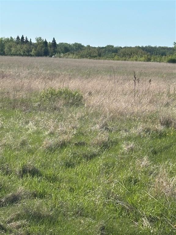 Photo de la propriété: 87 Binda Road MB R2E 1E1