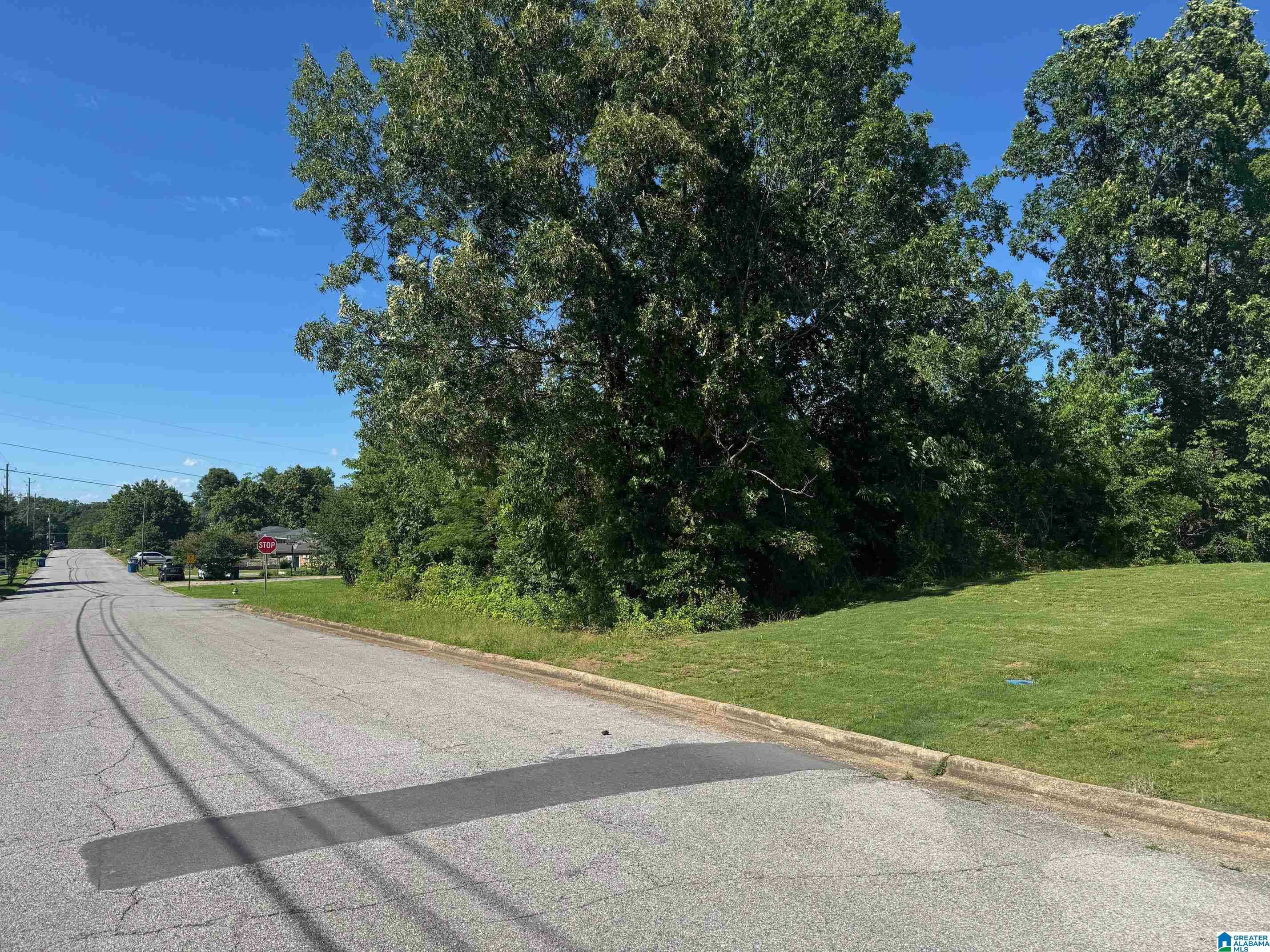 Property Photo: 0 2nd Avenue 39 AL 36265
