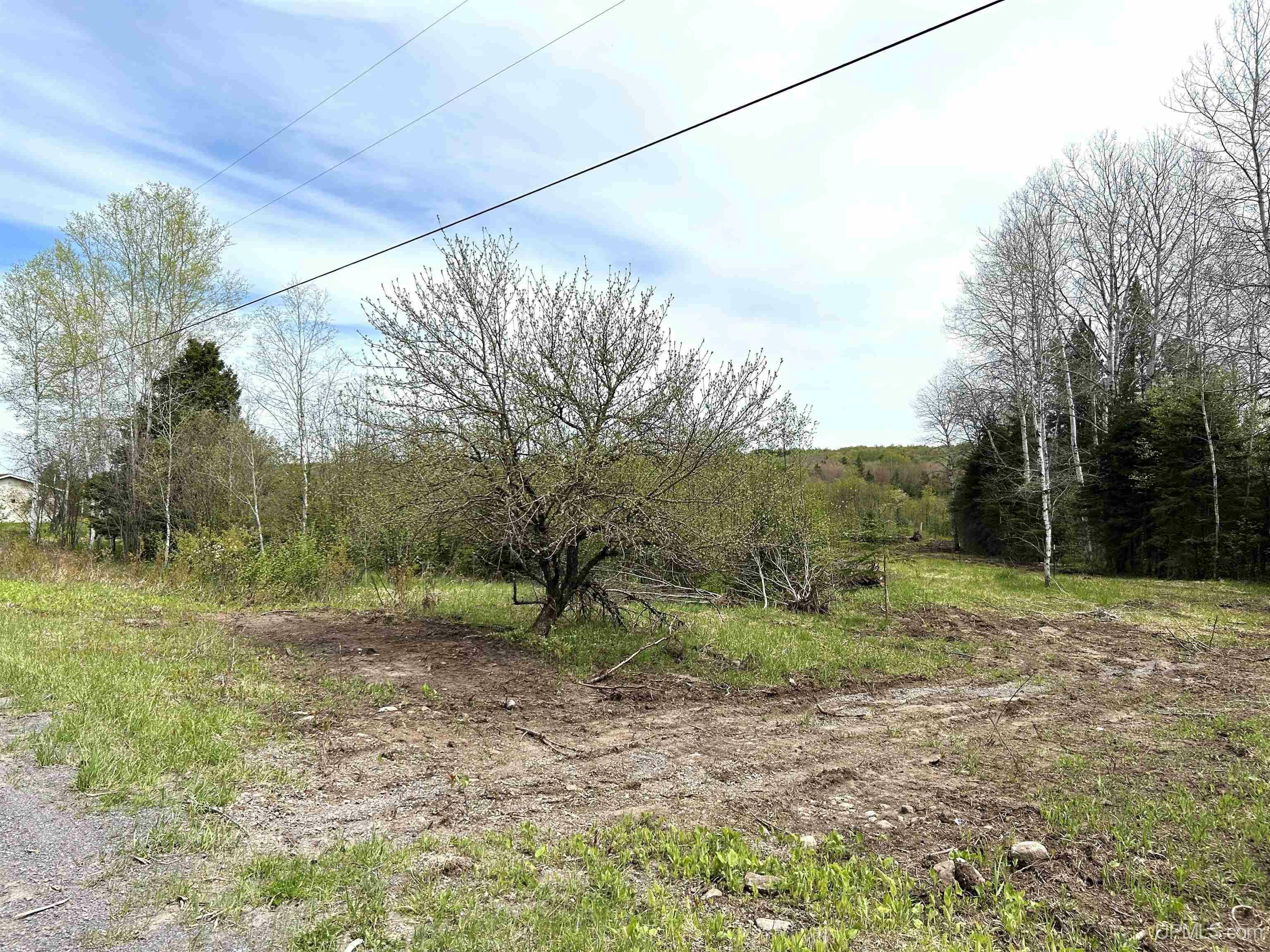 Property Photo: Tbd Lower Worham Road MI 49916