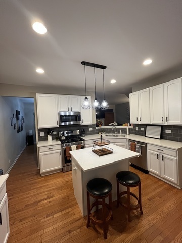 Property Photo: 1676 Fredericksburg Lane IL 60503