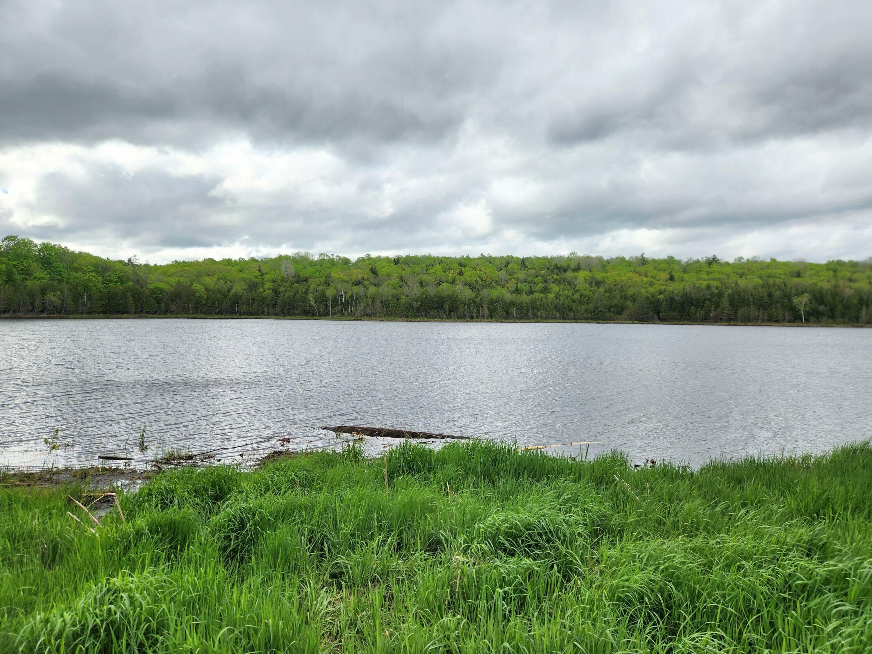 Property Photo: 510 Dexter Road ME 04939