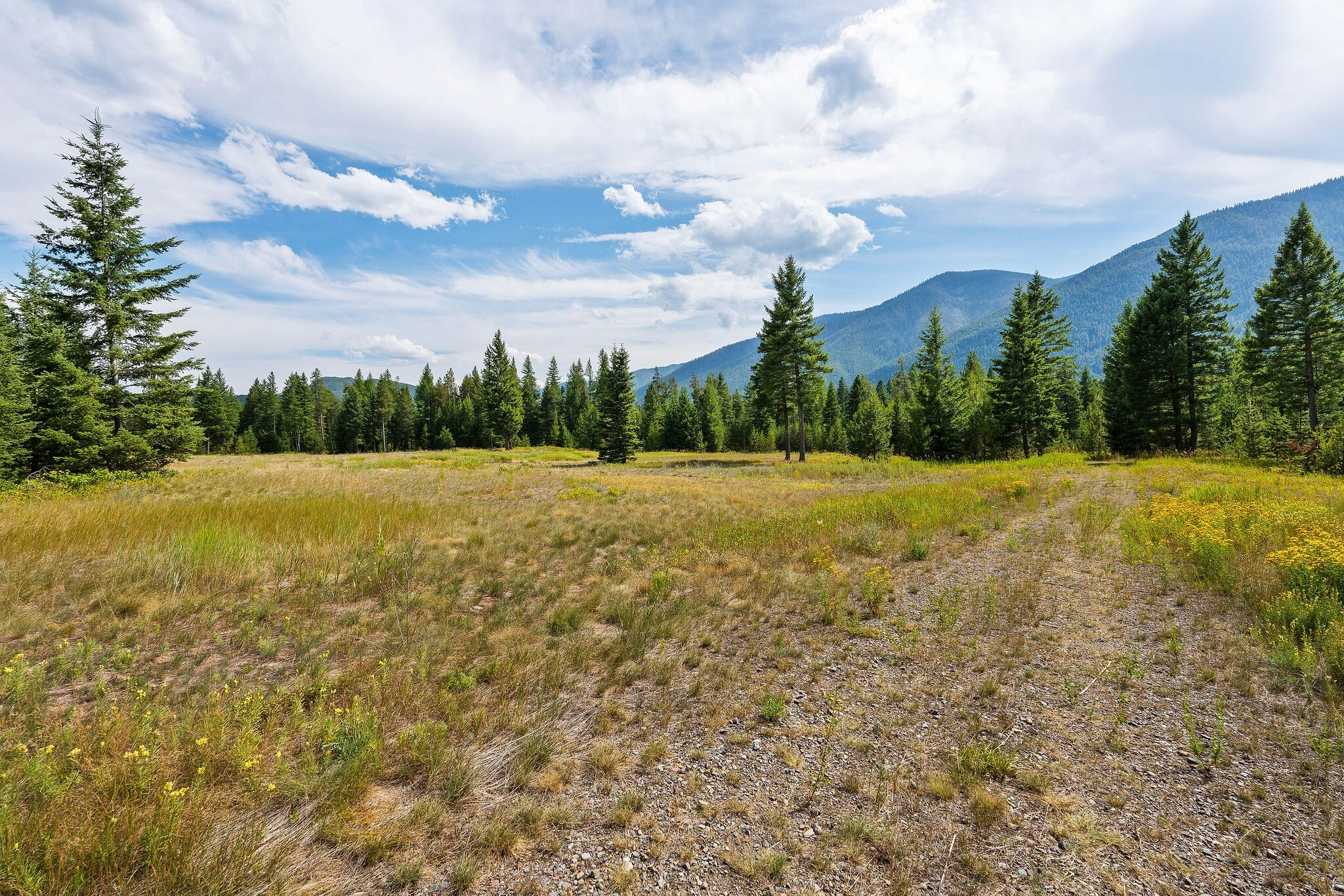 Property Photo: 1182 Lake Meadow Way MT 59912