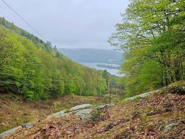 Property Photo:  0 Off Langdon Road  NH 03603 