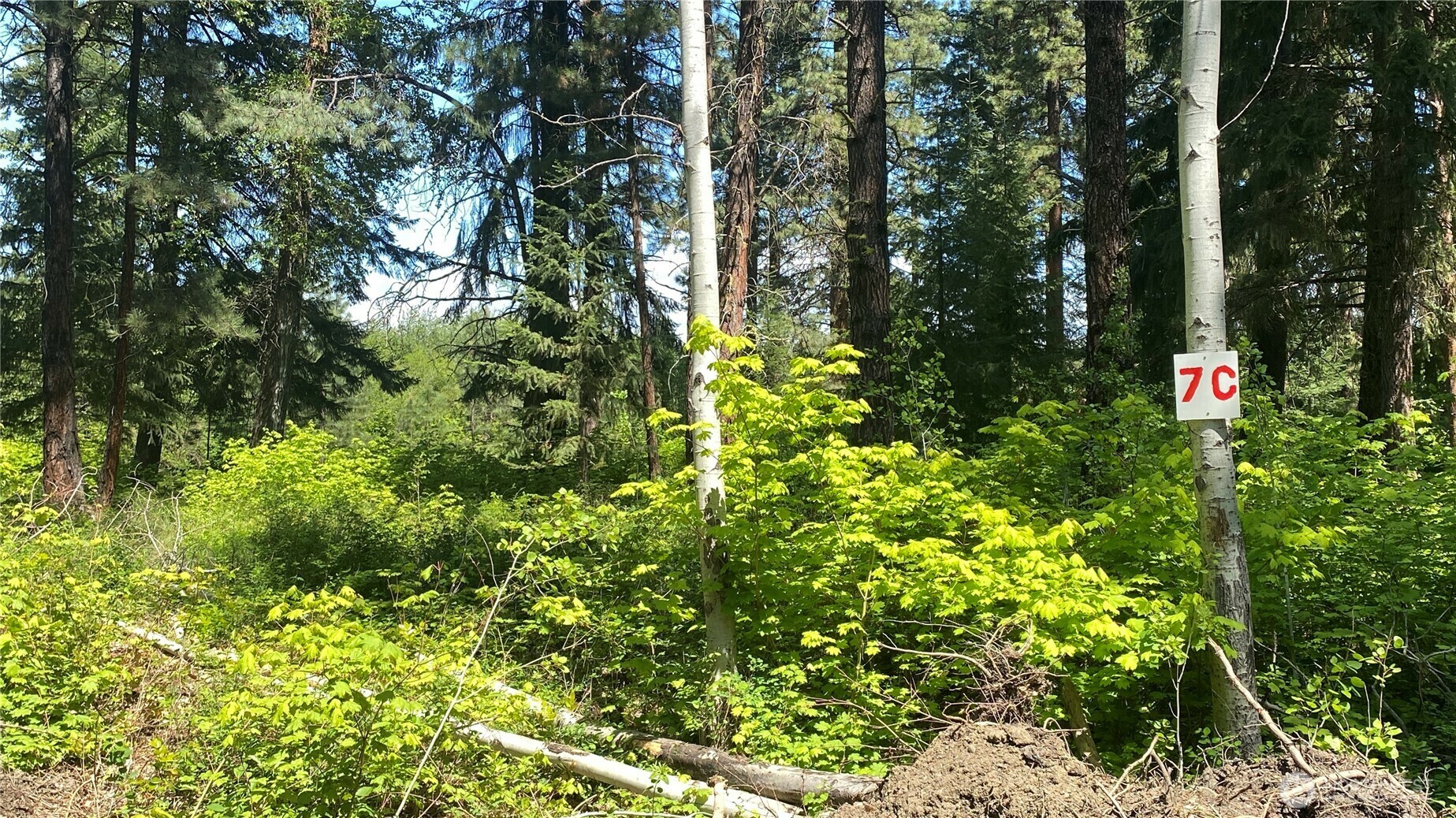 Property Photo: 3001 Hwy SR970 Lot 7C WA 98922