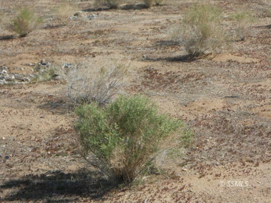 Property Photo: 155-248-15 Panamint CA 93528