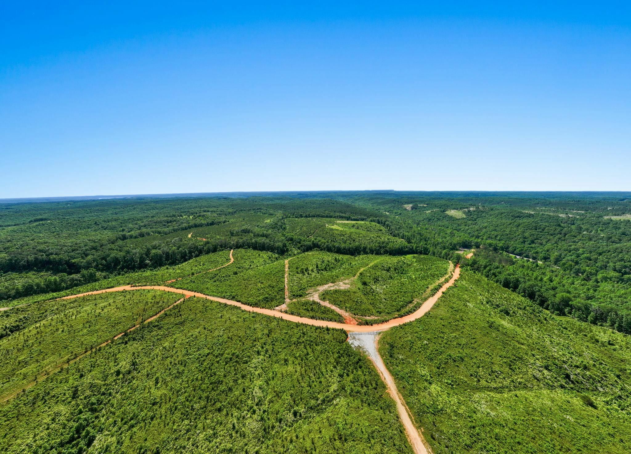 Property Photo:  00 Co Rd 79  AL 35677 - WATERLOO 