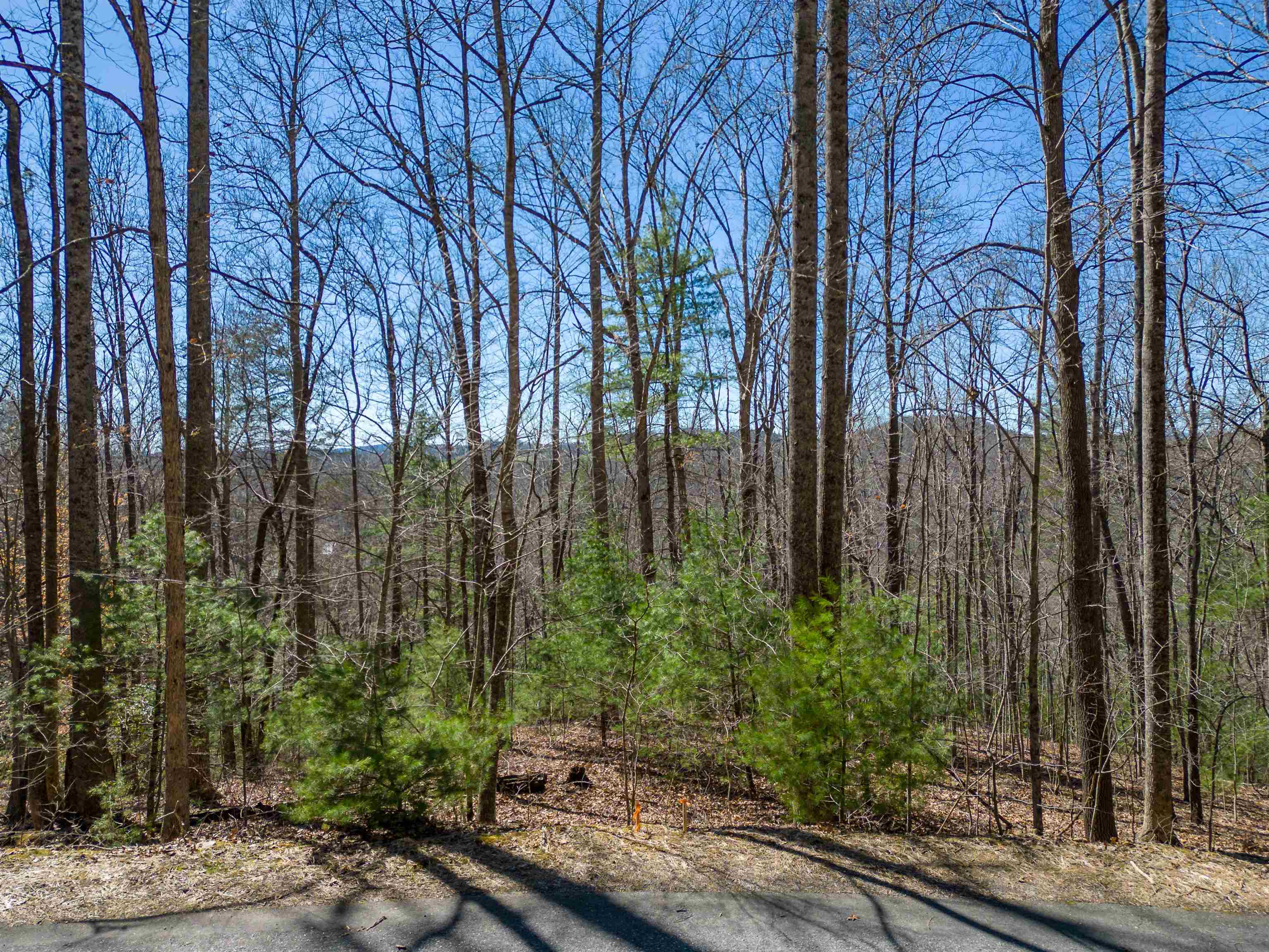 Property Photo: 132 Overlook Park Drive NC 28792