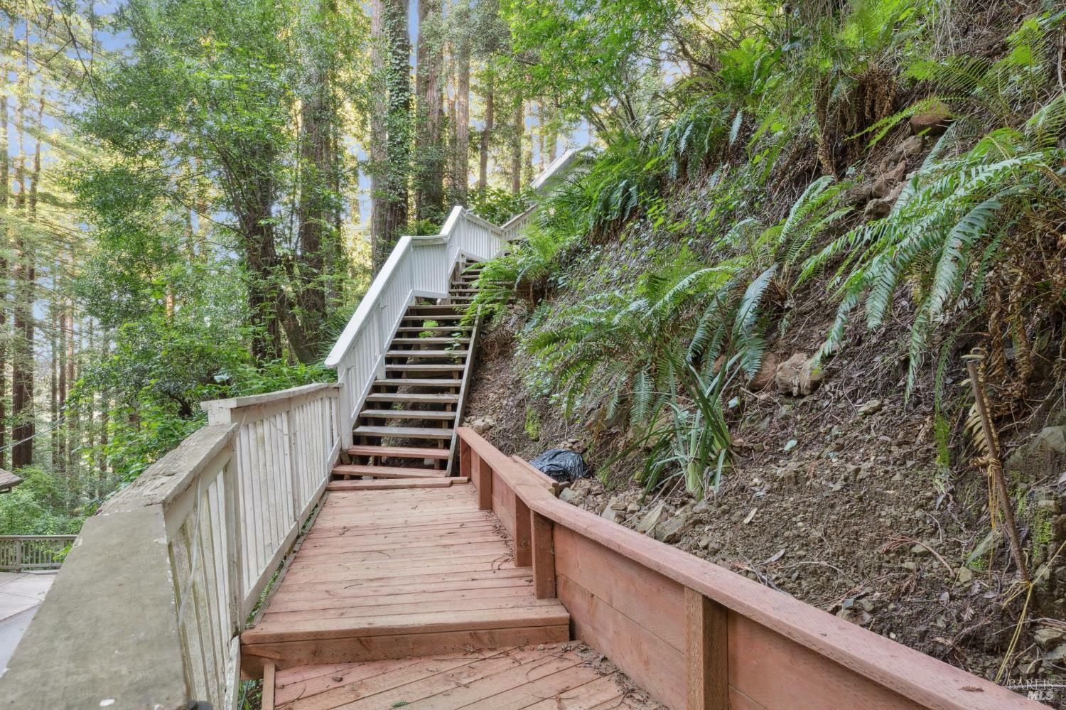 Property Photo: 545 Edgewood Avenue CA 94941