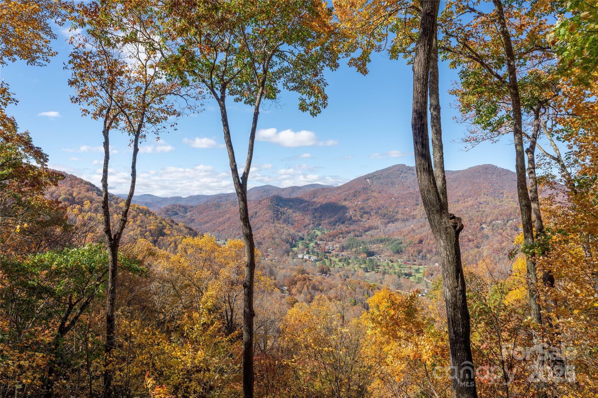 Property Photo: 339 Tsalagi Trail NC 28751