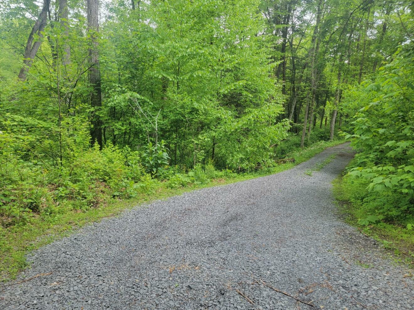 Property Photo:  Lot 9 Lakeview Height  WV 26679 
