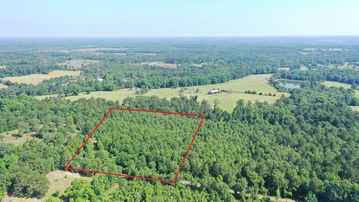 0000 County Road 1886  Kildare TX 75562 photo